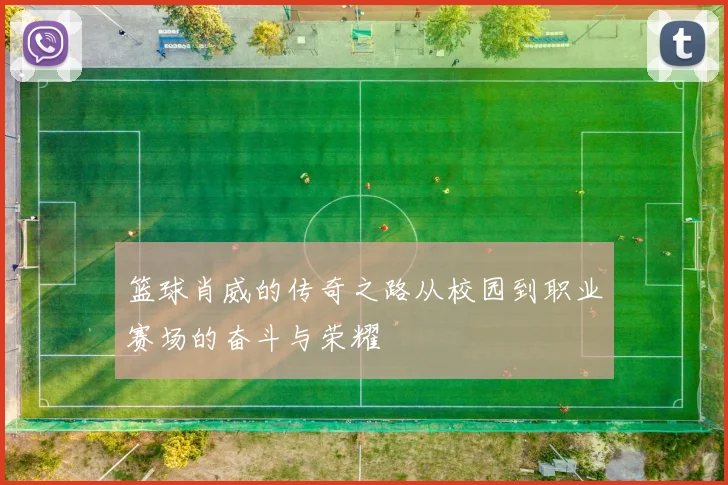 篮球肖威的传奇之路从校园到职业赛场的奋斗与荣耀