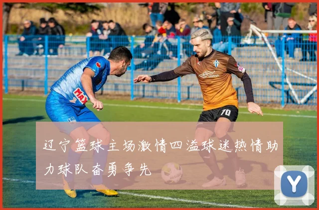 辽宁篮球主场激情四溢球迷热情助力球队奋勇争先