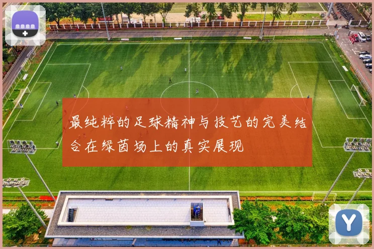 最纯粹的足球精神与技艺的完美结合在绿茵场上的真实展现